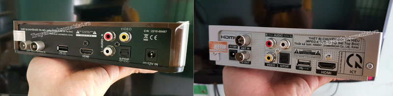 mặt sau đầu thu avg